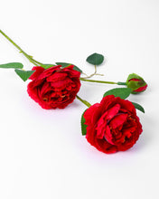 512bb0112f5e46f4dfc0e45fa0d79b88
