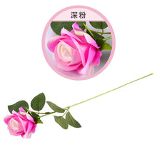 45d86979de14854e542f83364e54d35e