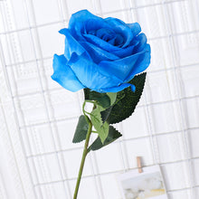 28876839d1033c4c79bef690fbe593bd