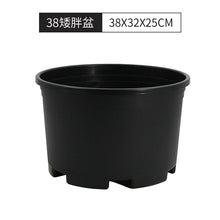 44bddd96a9405802228c889505e33123
