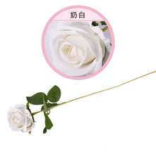c938a2f89c3f98c1e89f02169830b4f4