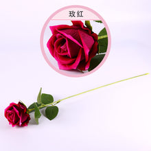 4d2ef09dd2f814e8359c88b0889aa86c