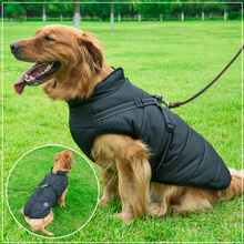 Autumn/Winter Pet Clothes - Cotton Clothes with Reflective Straps for Dogs