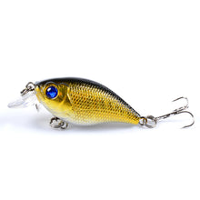 d0015fd91ab5656f6bc245119b969831