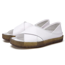 d880742537b9d7275e57e03d033c610f