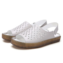 dc8a2f50e11d08641a6cce9211c12716