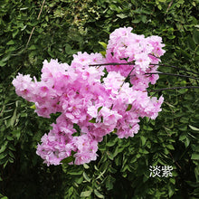 621f1a2bee0fcd740827bbd82f1980e0
