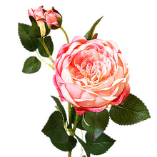 cdac14bef36c65c3c0f0a0e959e08df8