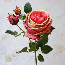 0db61e82f7950a886403952e4c0b5caf