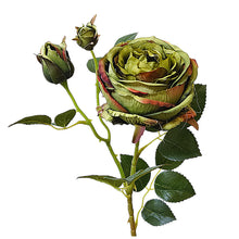 1630f18c8a1f23d05d75a5cbc93bfef4