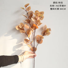 f6ac76311adce8eb3dbd808561ed2070