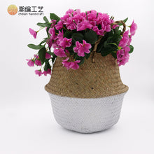 3273f3a1184474f167c4a82a695dd755