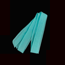 2681a52d39d2d715e4468c59f0074861