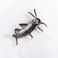 ce6f2caa98b3d3e4798fcd89dfeea224