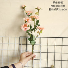 d9bd4adefbc0e27ce89c9ea86c838ff1