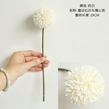 30faf03ada5be711011775b9bfa264c5