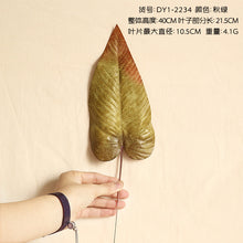cef756781fb0bea2d26786a22c0f5fe3