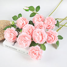4e92f734bfc1b9f788020ecadb32dd85