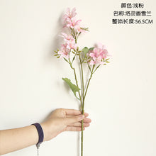 f0242aa98c6894178470a841bfa76541