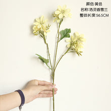 2a45af1ada6008f98cb88cd6969d5312