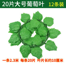 ae4cbb34fa781cc40256bc6e19cf8d65