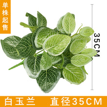 b781b0e79a02c595e2f89e0e089b48db