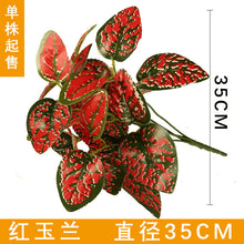 ec8b2e492b2af59a85fee9fab86f81c2