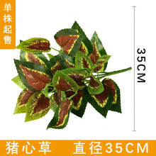 4cd9ac6187c2e7ccc5549f55930330e1