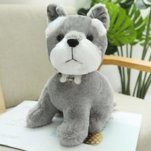 b2f2a7e275e837d074eb9b49f87a6322