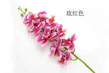 81cbf716f4669a51b340d39e21283680