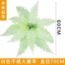 c879fd4828d586e2f012cc5f42b6ac8a