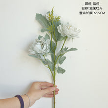 e2067a32f32dc73412781fa368368371