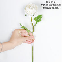 52dd15e90c408d12fe732d32de31efd1