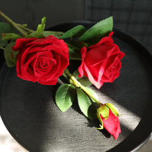 abbaab788447e92c03c7789ff7ee88bb