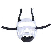 1d0f0b298dfdf1fff8a1f77eb11f7299