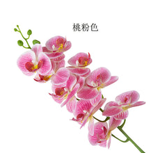 f6da5b60858ed37d8151cc279c616d61