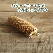 352a38ddbef75f6f848357c63a208113