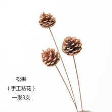 96659a32fa35f79a90d0cb00972482e7