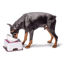 1eca93529ac3dfea41b774a3064eab23