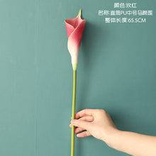 ebb0d0655d9f63b79b188333d4d247e7