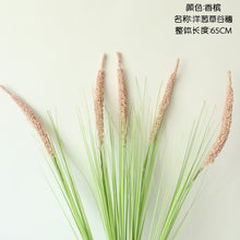 e16bc938d853f6b65e90a56509d6a9ba