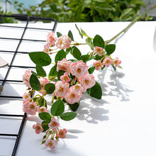 34ad9814e217ccdf835f9ac7fe30fb73