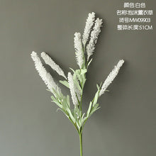 6996bd58adb19c5dcb05af90572fb585