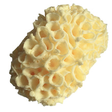 a7123feab84afec3b4bd13033b53b6a0