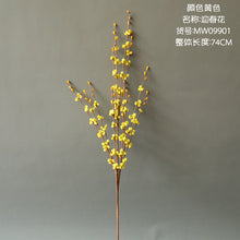 34dc6e0a6d06286c408ae003c14922f3