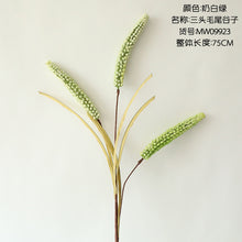 2beb52adfec158cb000081fe7ee9a3ad