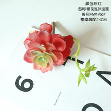 851483d4dce50693e13076f5c191b13b