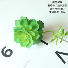 a1ef7ac7c99274a85038029b034a4a2c