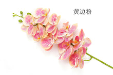 14ec6c052df4a05afce680d3b294f612