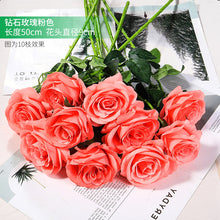 40c0c3ea029ca4dc41f3cd0309113600